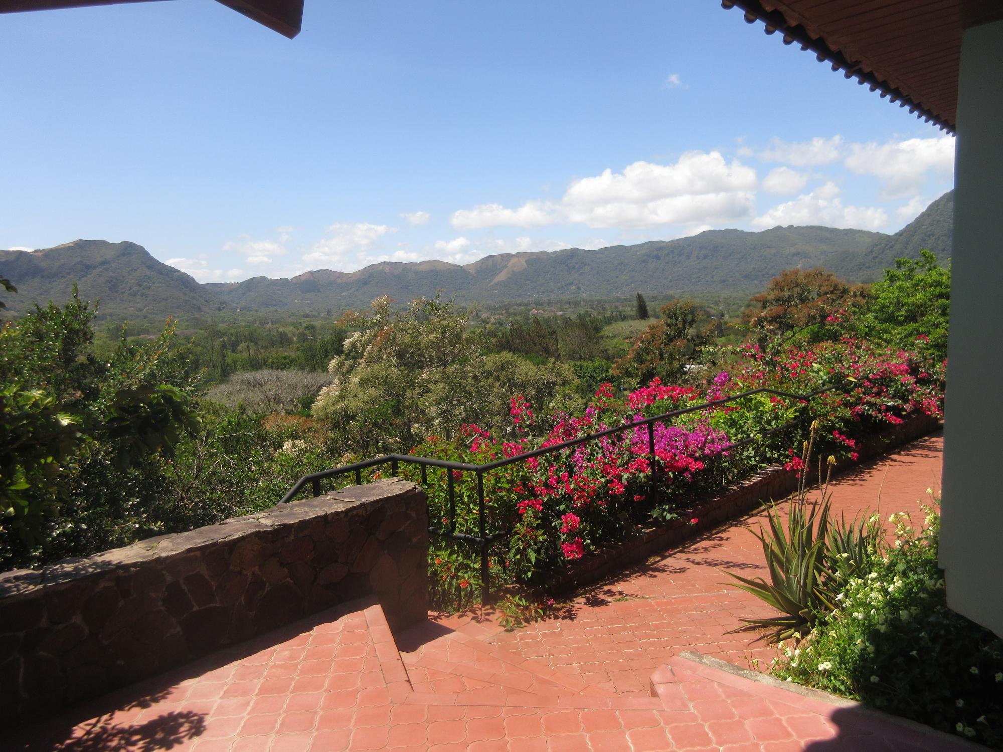 Terraza principal